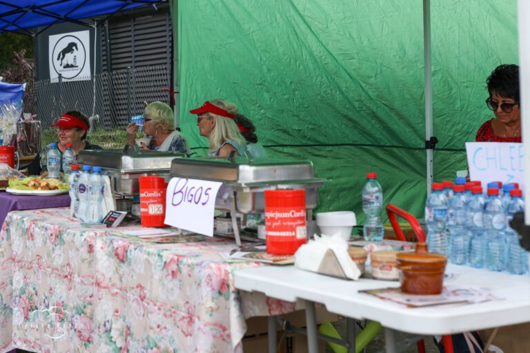 Piknik rodzinny dla hospicjum cordis 2022 – zdjęcie 12
