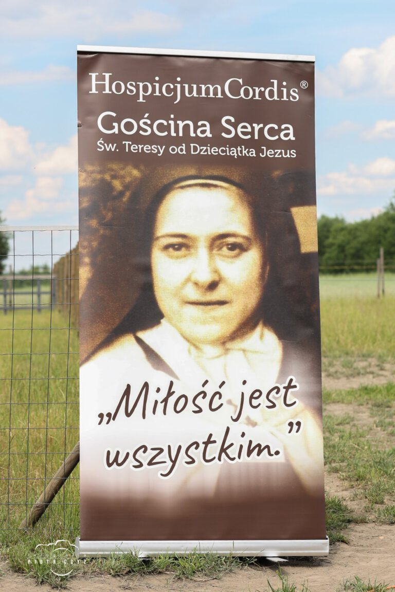 Piknik rodzinny dla hospicjum cordis 2022 – zdjęcie 1