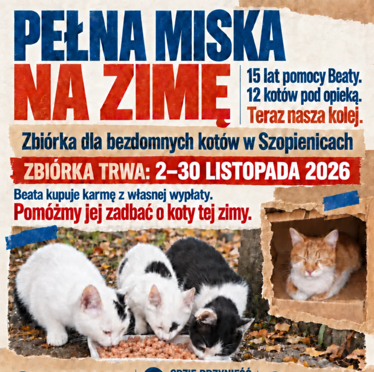 PEŁNA MISKA NA ZIMĘ – pomóżmy kotom Beaty!